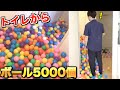 【ドッキリ】トイレから5000個のボールが雪崩れ落ちてくる！！