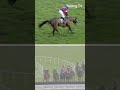 Which commentary is better? ❓