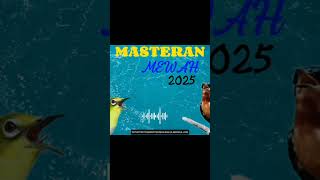 Masteran Terbaru 2025 - Pleci Tembakan Kolibri Wulung🔥