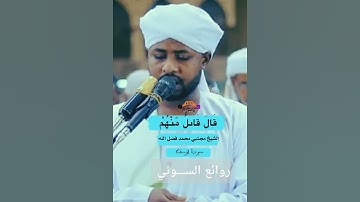 الشيخ مجتبي محمد فضل الله  تلاوة خاشعة من سورة يوسف