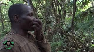 Chasse au Cameroun en forêt avec @constantboulardadventures