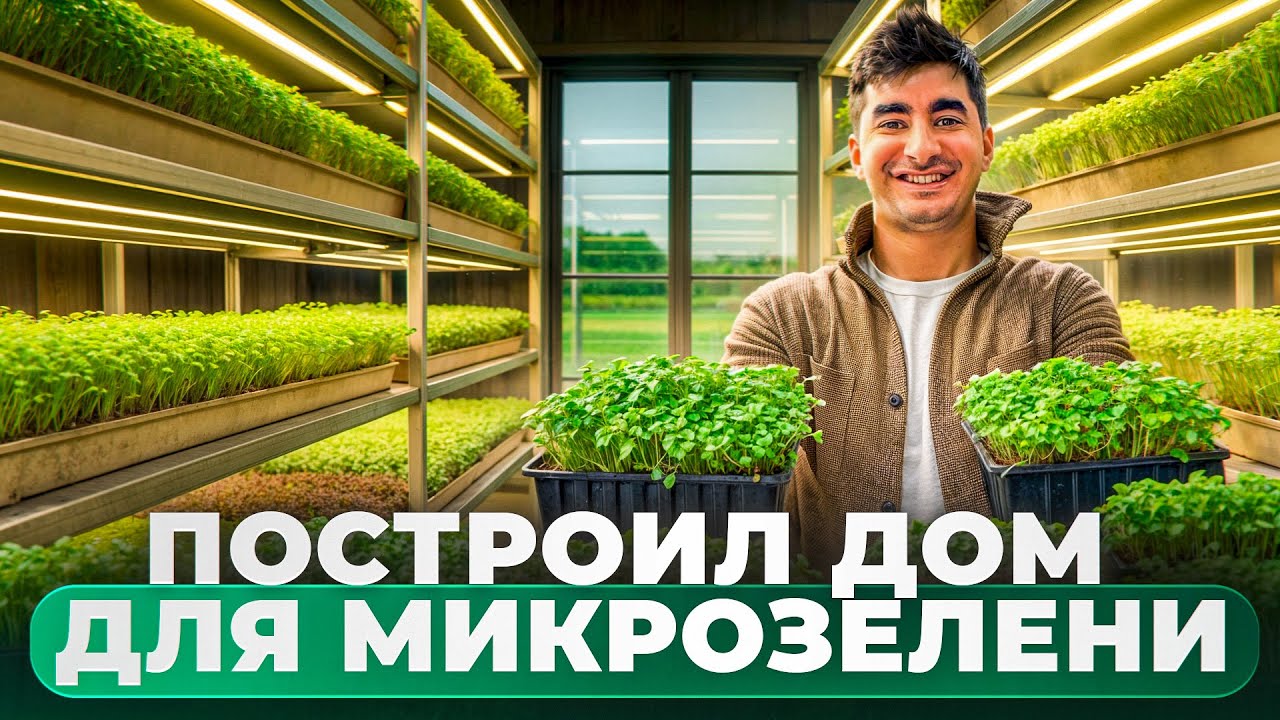 Построил дом для микрозелени. Бизнес с 5 тысяч рублей