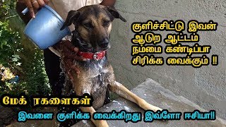 மேக் ரகளைகள் | குளியல் கலாட்டா | குளிச்சிட்டு இவன் ஆடுற ஆட்டம் நம்மை கண்டிப்பா சிரிக்க வைக்கும் !!