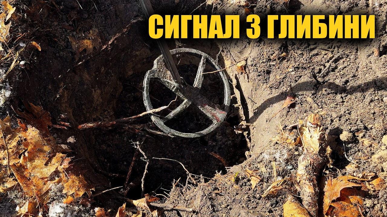 Сніг, вовки і старі дороги. Пошук з металошукачем в Україні