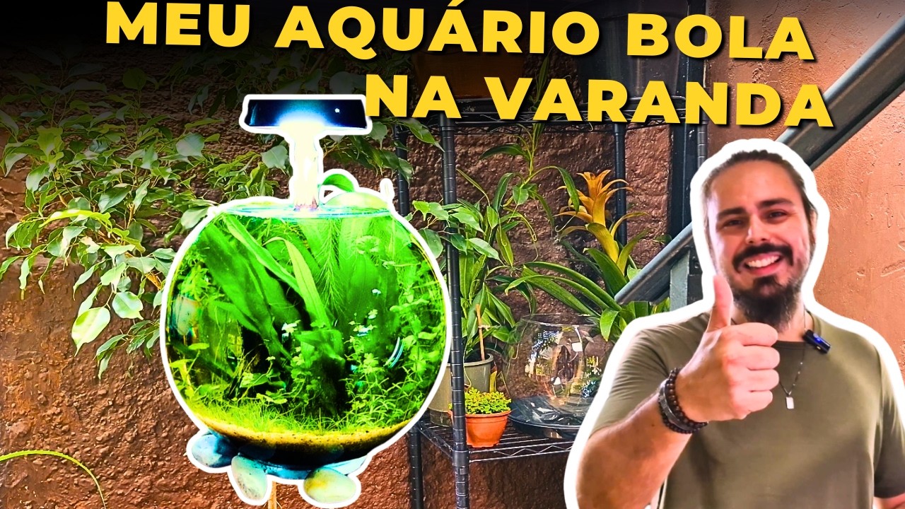 🔴MONTEI AQUÁRIO BOLA NA VARANDA DA MINHA CASA |Mr. Betta|