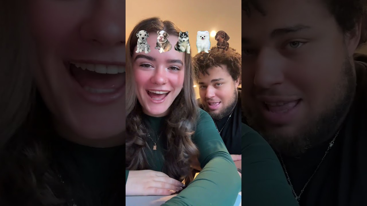 Pořizovaní psa zatím odkládáme #dog #breed #puppy #comedy #couple