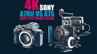 A7R II VS A7S (Both shot in 4K) Which one is better?