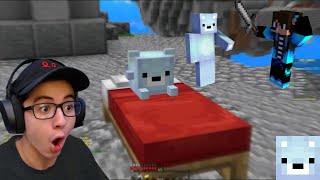 @Wallibear  I used his texture pack (amazing!)