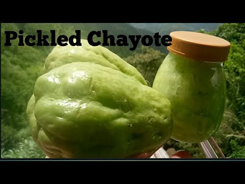 Paano kumita mula sa Sayote - Pickled Chayote Pang Negosyo