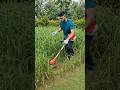 ₹2251 Mein 24V Cordless Grass Cutter 😱 Garden Safai Seconds Mein #garden #tools4life #shorts