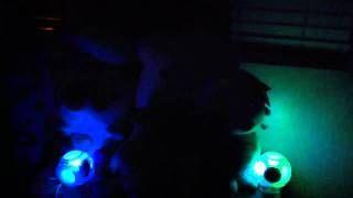 Plushie Dance Party