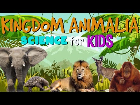 पशु साम्राज्य | बच्चों के लिए विज्ञान
