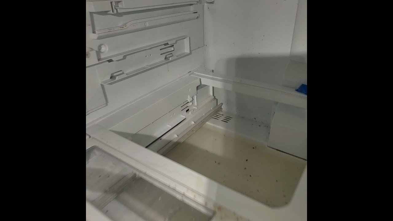 Refrigerator diagnostic & repair clogged defrost drain system YouTube