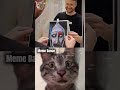 cat reaction 144 #cat #shorts #funny #memes #cute #jumpstyle