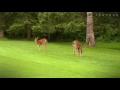 Uplands Golf Club