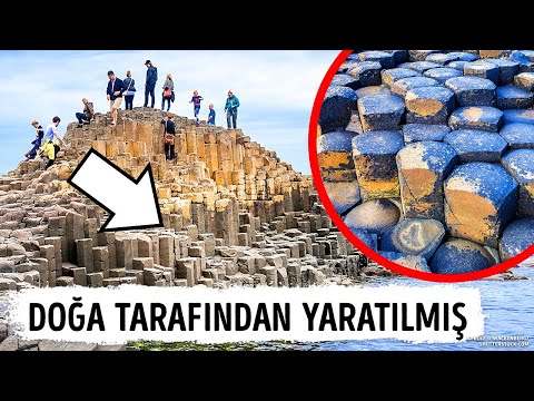 Video: Online seyahat hizmeti OneTwoTrip: yorumlar