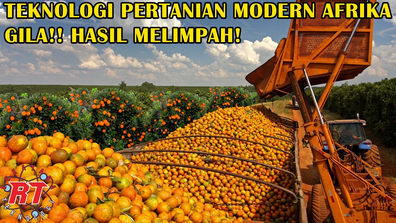 REVOLUSI PERTANIAN MODERN AFRIKA TEKNOLOGI BARU YANG MENGUBAH SEGALANYA!