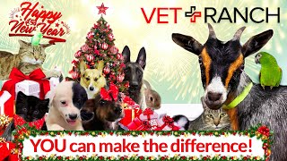 Happy New Year From Vet Ranch!