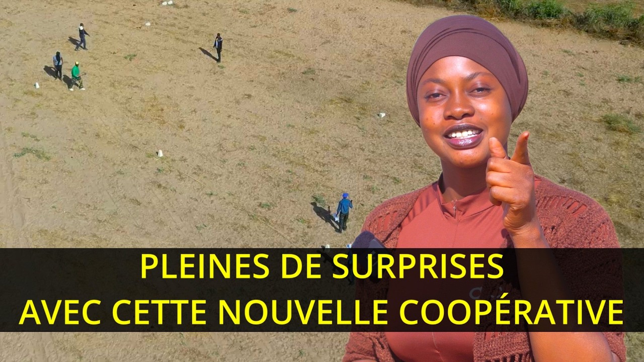 Cette Nouvelle COOPÉRATIVE répond à toutes vos Attentes 👍