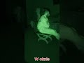 Duch Marysi ma pojawiać się w oknie! #pałac #ghost #duchy #nawiedzone #paranormal