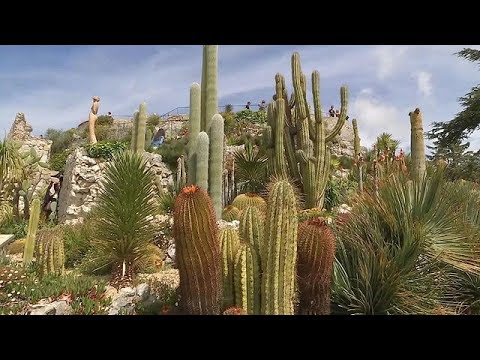 Video: Der Größte Blumengarten Der Welt Befindet Sich Inmitten Einer Wüste