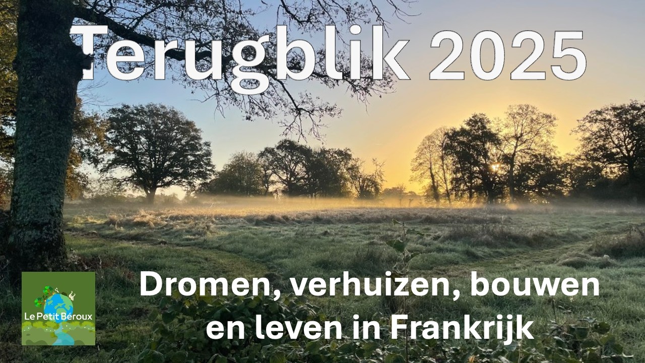 2025 in beeld 🎥 - Le Petit Béroux