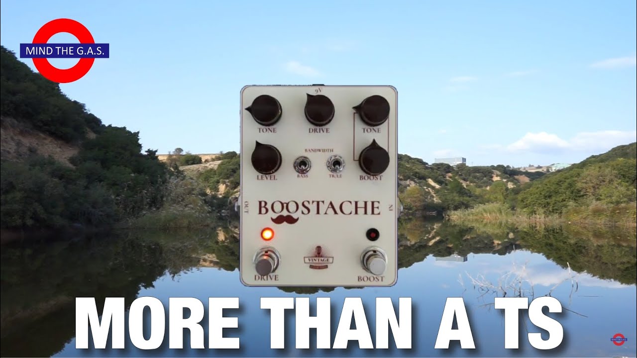 Vintage Guitar Nerds Boostache | Delicious Audio