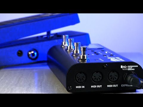 Source Audio Soleman MIDI Controller Pedal | Sweetwater
