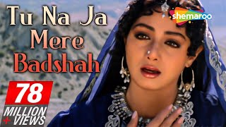 तू ना जा मेरे बादशाह Tu Na Ja Mere Badshah Lyrics in Hindi