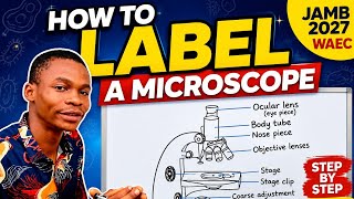 How to Label a Microscope Correctly | Parts of a Microscope | JAMB 2027 & WAEC Biology