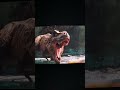 EPIC T-REX ROAR from Jurassic World Rebirth #tyrannosaurusrex #jurassicworldrebirth #jurassicworld