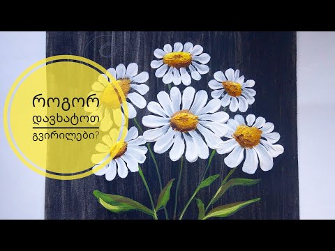 როგორ დავხატოთ გვირილები? • how to paint  daisies step by step
