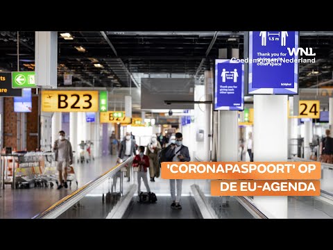 Video: Gezondheidspaspoorten Voor Reizigers: Wat Sommige Landen Overwegen