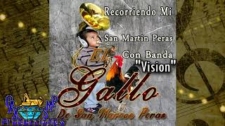 Vision -El Gallo De San Marcos Peras Estreno Exclusivo