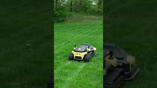 I bought a house for peace… not for mowing grass 😭