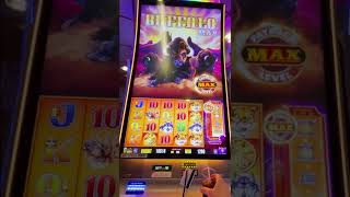 Mive Buffalo Max Power Triple Sunset Win