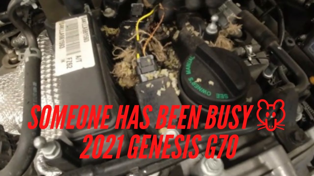 2021 Genesis G70 misfire, wire repair