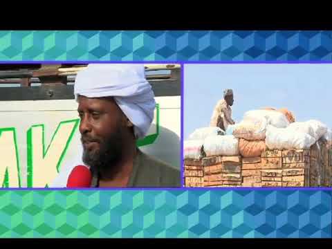 فضائية البحر الاحمر مدن وبوادى طوكر الجزء الاول  1
