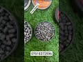 .177 Imported Pellets Available #airgun #airsoft #airpistol #freedelivery #india