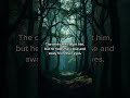 The Oracle: A Dark Fantasy Romance #darkfantasyromance #fantasyromancebooks