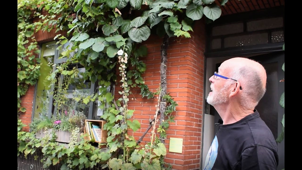 Op bezoek bij leden: een eetbare oase in het centrum van de stad