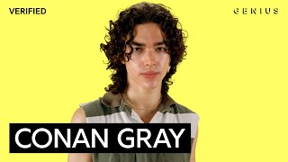Conan Gray “People Watching” Official Lyrics & Meaning | Verified