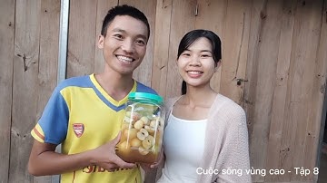 Cách ngâm táo mèo mật ong - Đặc sản Mù Cang Chải