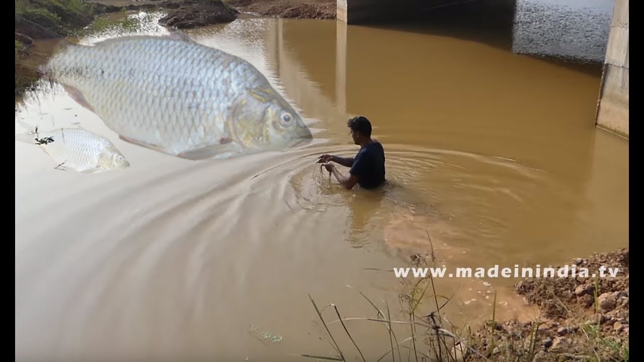 Amazing Fish Trapping | Fish Catch With Plastic Bottle street food | STREET FOOD