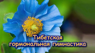 Делайте эту ГОРМОНАЛЬНУЮ ГИМНАСТИКУ каждое утро и ВЫ ПОМОЛОДЕЕТЕ! Делайте эту ГОРМОНАЛЬНУЮ ГИМНАСТИКУ каждое утро и ВЫ ПОМОЛОДЕЕТЕ!