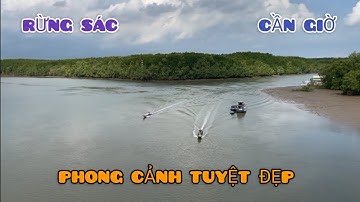 Trải Nghiệm Con Đường Tuyệt Đẹp . Rừng Sác - Cần Giờ 