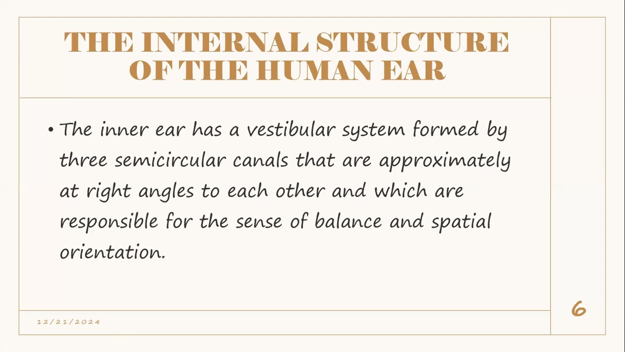Inner Ear Structures And Functions Tympanic Membrane (Eardrum):