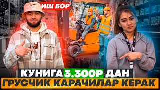 :    3.300 ,      
