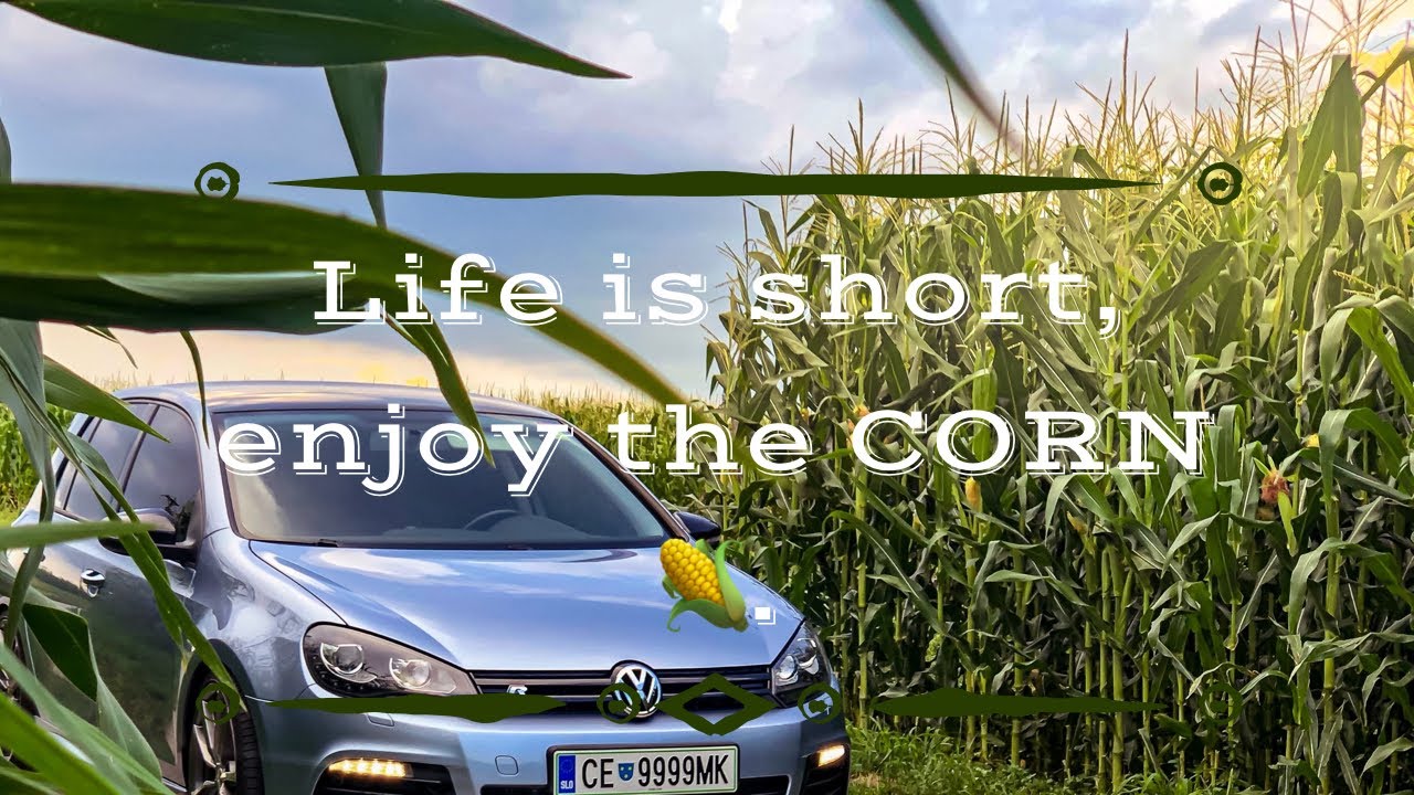 Is Corn a Vegetable? YouTube