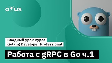 Вводный урок курса «Golang Developer. Professional» часть 1